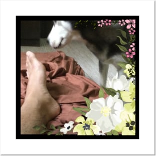 Funny Husky Dog Smelling Foot Flowers Simple Posters and Art